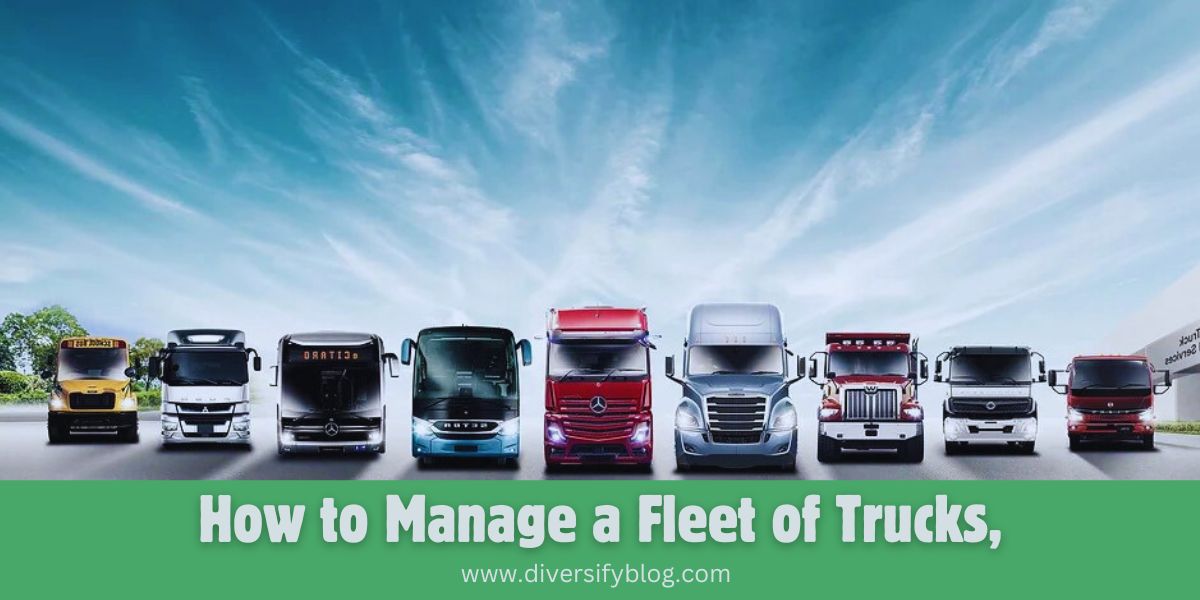 How to Manage a Fleet of Trucks