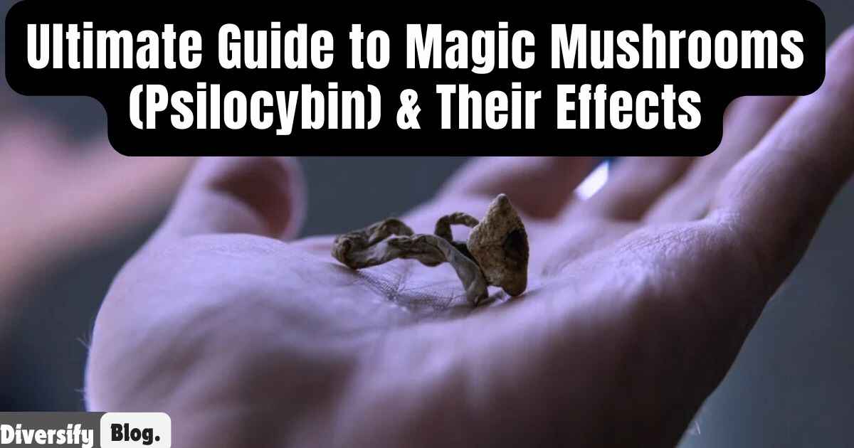 Ultimate Guide to Magic Mushrooms (Psilocybin) and Their Effects