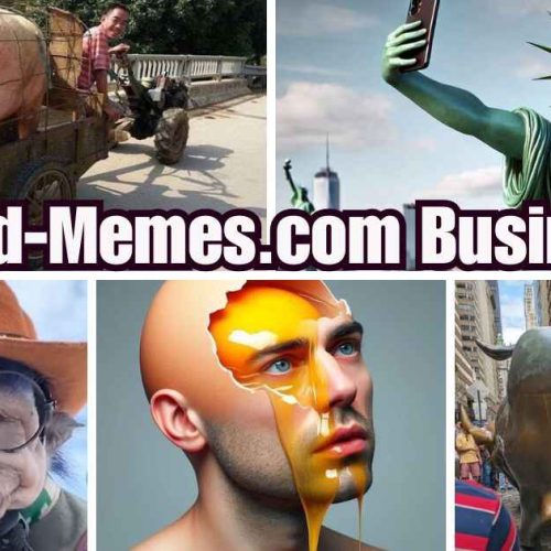 cursed memes.com business 
